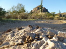 photo thumbnail #1