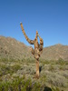 photo thumbnail #4
