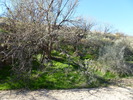 photo thumbnail #11