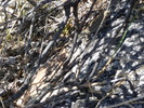 photo thumbnail #12