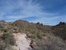 photo thumbnail #5