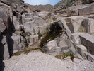photo thumbnail #14