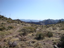 photo thumbnail #3