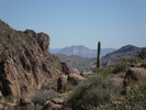 photo thumbnail #10