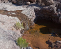 Featured Detail Photo