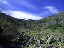 photo thumbnail #13