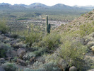 photo thumbnail #8
