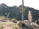 photo thumbnail #2