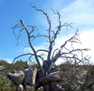 photo thumbnail #9