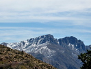 recent photo