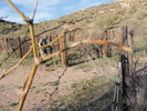 photo thumbnail #2