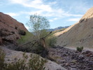 photo thumbnail #8