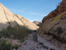 photo thumbnail #9