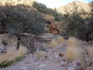 photo thumbnail #12
