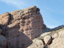 photo thumbnail #13