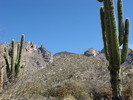 photo thumbnail #1