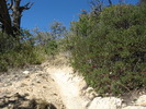 photo thumbnail #8