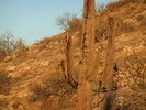 photo thumbnail #2