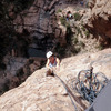 photo thumbnail #10
