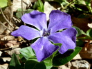 photo thumbnail #8