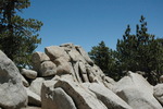photo thumbnail #1