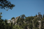 photo thumbnail #8