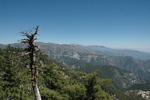 photo thumbnail #10