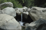 photo thumbnail #5