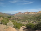 photo thumbnail #2