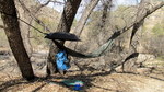 photo thumbnail #6