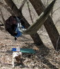 photo thumbnail #7