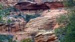 photo thumbnail #13