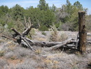 photo thumbnail #4