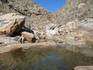 photo thumbnail #7