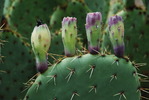 photo thumbnail #10