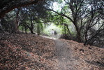 photo thumbnail #12