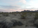 photo thumbnail #2