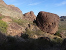 photo thumbnail #4