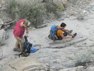 photo thumbnail #8