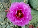 photo thumbnail #11