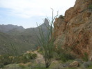 photo thumbnail #2