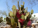 photo thumbnail #4