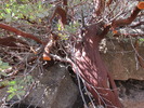 photo thumbnail #3
