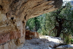 photo thumbnail #4