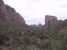 recent photo