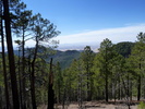 photo thumbnail #7