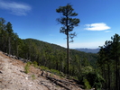 photo thumbnail #9