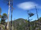 photo thumbnail #10