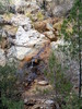 photo thumbnail #13