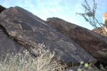 photo thumbnail #3
